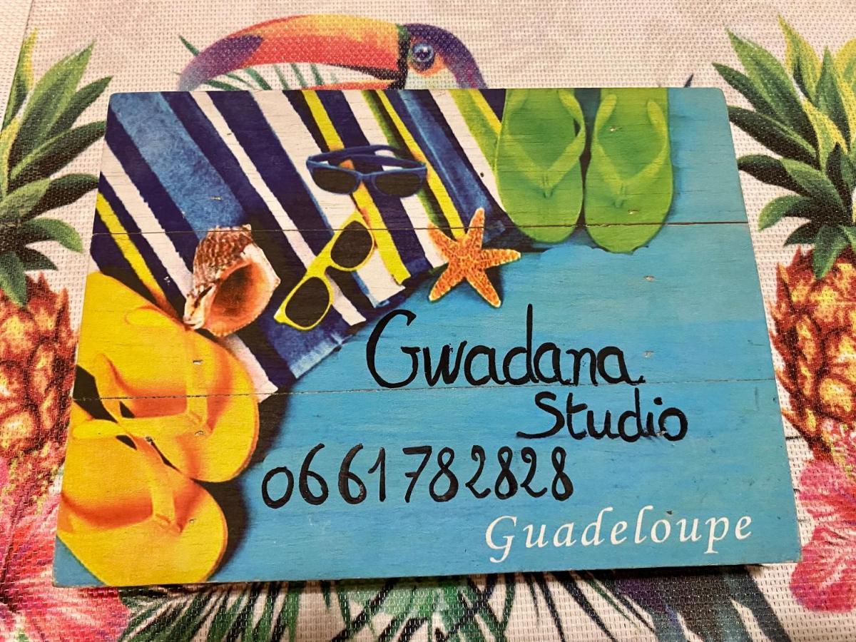 Vue Exclusive Mer Et Volcan, Village Vacances Avec Plage Et Piscine, Les Gwadastudios Sainte-Anne  Kültér fotó