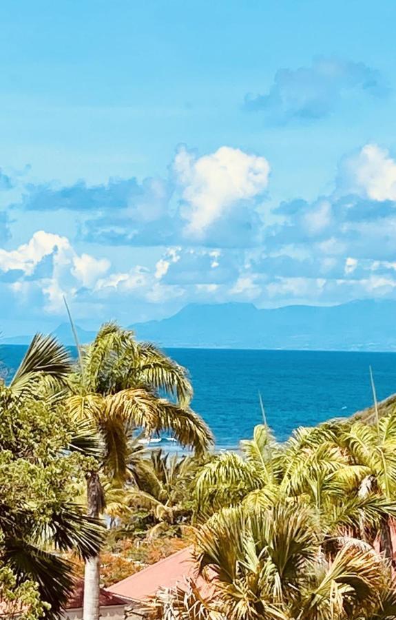 Vue Exclusive Mer Et Volcan, Village Vacances Avec Plage Et Piscine, Les Gwadastudios Sainte-Anne  Kültér fotó