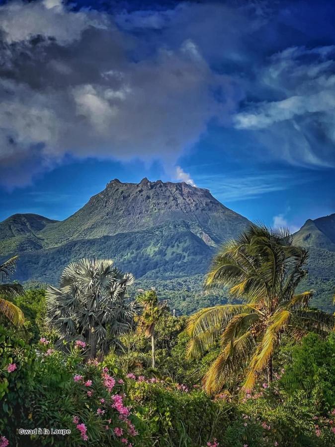 Vue Exclusive Mer Et Volcan, Village Vacances Avec Plage Et Piscine, Les Gwadastudios Sainte-Anne  Kültér fotó