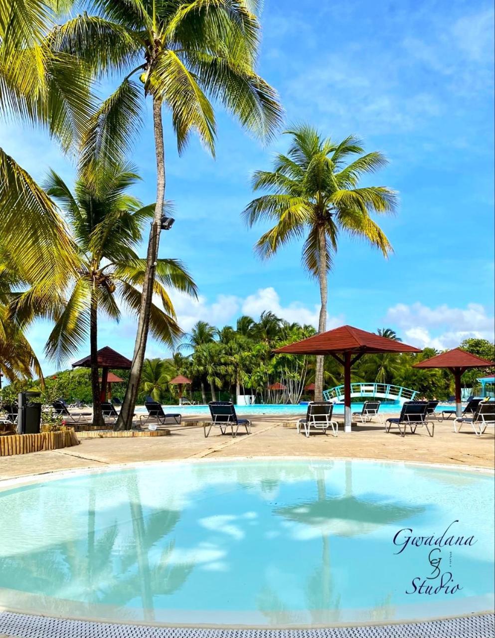 Vue Exclusive Mer Et Volcan, Village Vacances Avec Plage Et Piscine, Les Gwadastudios Sainte-Anne  Kültér fotó