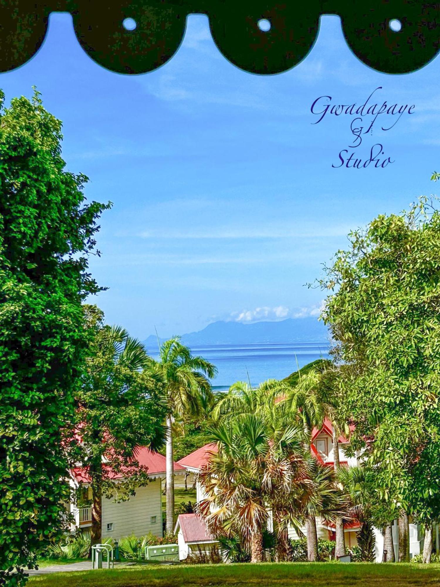 Vue Exclusive Mer Et Volcan, Village Vacances Avec Plage Et Piscine, Les Gwadastudios Sainte-Anne  Kültér fotó